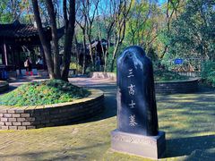 -上海佘山国家森林公园天马山园