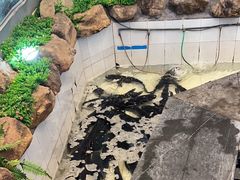-春盛渔府(牛首山店)