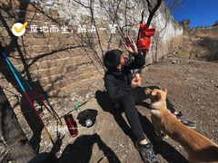-蟠龙山长城景区