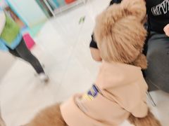 -北京观赏动物医院·24小时大型综合·猫专科·异宠专科