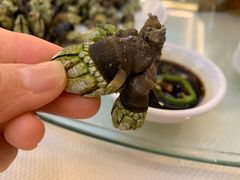 白灼狗爪螺-万山楼海鲜酒家·二十三年老字号