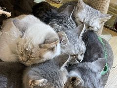 -觅时光手作·香薰·拼豆豆·陶艺DIY