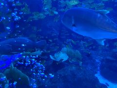 -成都浩海立方海洋公园