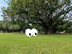 -东莞植物园