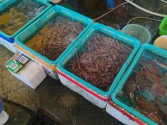 -澳门环岛游湾仔码头