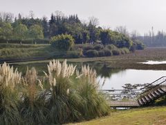 -白鹭湾湿地公园