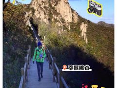 -大岭沟猕猴桃谷风景区