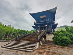 -大唐贡茶院