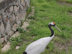 -哈尔滨北方森林动物园