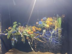 -上海鲜花港