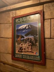 -翱翔飞越地平线