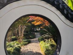 -汇龙潭