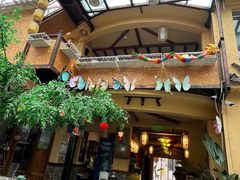 -大理董·董家小厨野生菌火锅(古城旗舰店)
