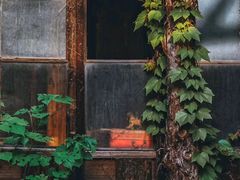-书隐楼