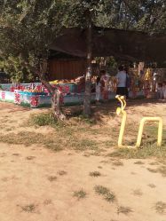 -浅山蜜塘奇妙乐园·亲子营地