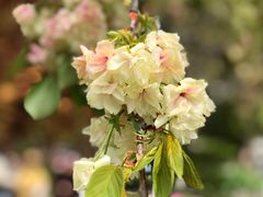 -江南大学(蠡湖校区)