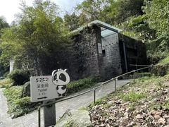 -都江堰中华大熊猫苑