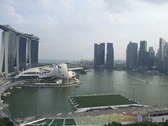-新加坡丽思卡尔顿美年酒店