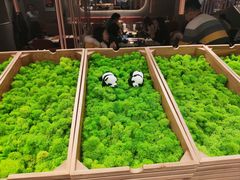 -新辣道鱼火锅(领展购物广场·中关村店)