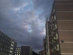 -味多美蛋糕(看丹桥店)