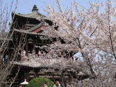 景点-西安青龙寺遗址景区