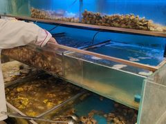 -海天一色海景自助餐厅(西港花园店)