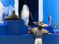 -多彩贵州城极地海洋世界