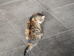 -迎江寺