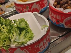 -龍歌自助小火锅(李沧顺和汇店)