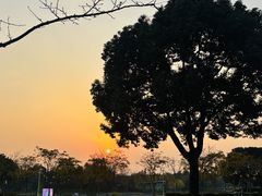 -尚贤河湿地