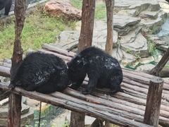 -大连森林动物园