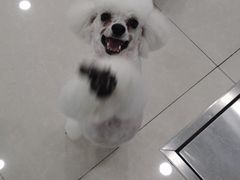 -佳雯宠物医院(四明中路分院)