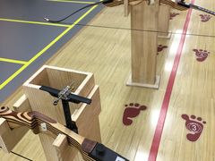 -道顺射箭·团建·骑射(张杨路店)