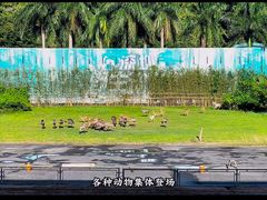 -深圳野生动物园
