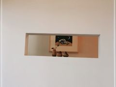 -知亘茶食