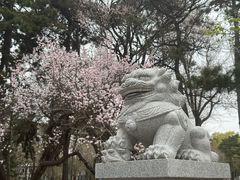 -长春市南湖公园