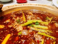 火锅兔-红辣椒·川菜·火锅(科华路店)