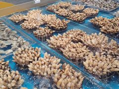 -盒马鲜生(文景博乐里购物广场店)