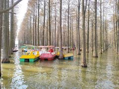-渌洋湖湿地公园