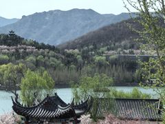 -樱花山风景区