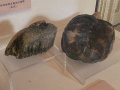 -北京动物园-畅观楼