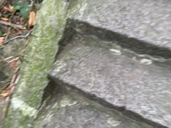 -七仙岭温泉国家森林公园