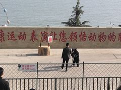 -东方熊牧场