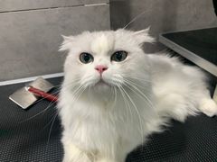 -宠颐生嘉德动物医院