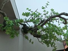 -鱼你相聚·河鲜馆(袁家岭店)
