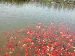 -徐记海鲜(曲江南湖店)