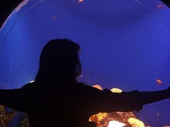 -江和美海洋公园