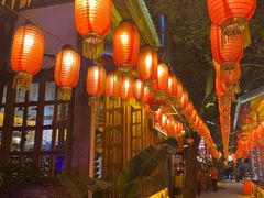 -巴倒烫陆派火锅山庄(南山总店)