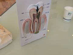 -和平卓尔口腔·矫正种植中心
