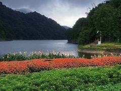 -广州市石门国家森林公园